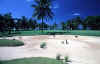 golfcourse.jpg (9900 bytes)